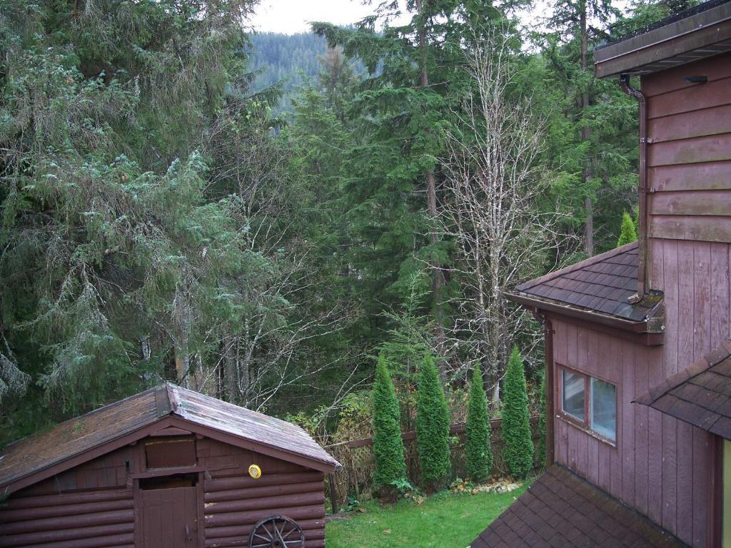 Tall Trees Bed & Breakfast Bed & Breakfast Prince Rupert Room photo